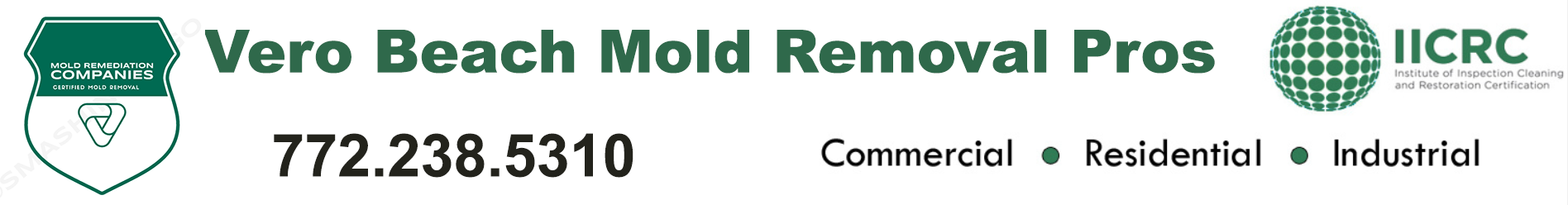 Vero Beach Mold Removal Pros