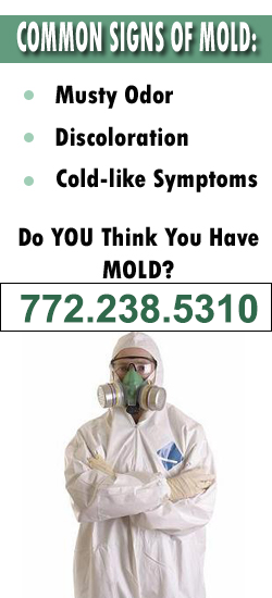 Vero Beach Mold Remediation Contractor